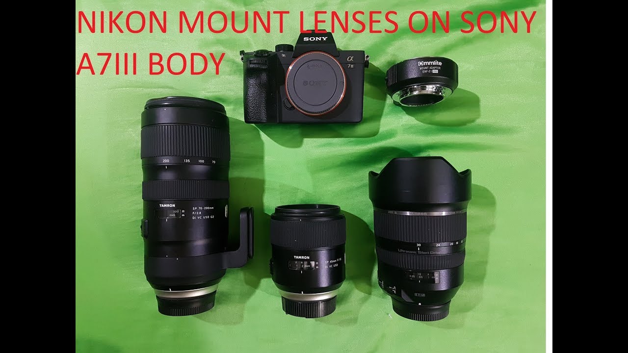 Quick Focus Test of Adapted Nikon mount Tamron lenses on a Sony A7III