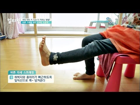 우리 아이 틀어진 자세를 바로잡는 '바른 자세 스트레칭' TV정보쇼 알짜왕 102회