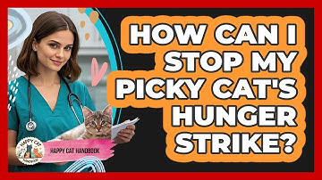 How Can I Stop My Picky Cat