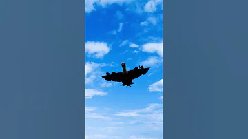 8 August 2025 