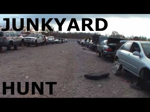 volvo-junkyard-hunt