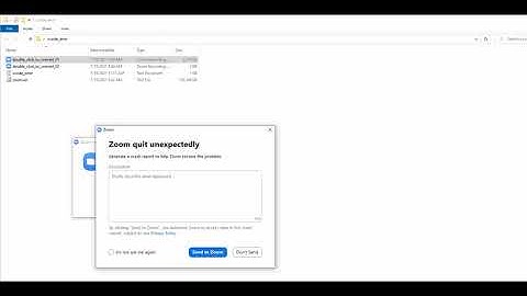 zoom 0day dos exploit