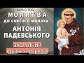 Обрання Святого Антонія своїм покровителем