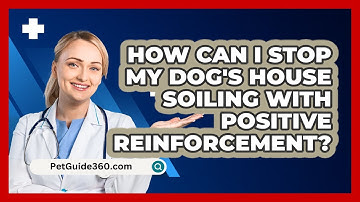 How Can I Stop My Dog