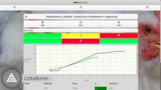 AvicApp.com: Pollo de engorde - Consolidacion del rendimiento screenshot 5