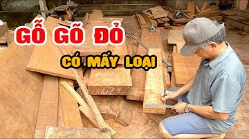 Gỗ Gõ Đỏ Nam Phi Có Bao Nhiêu loại - Loại Nào Tốt Nhất ? | Đồ Gỗ Thành Khuyên