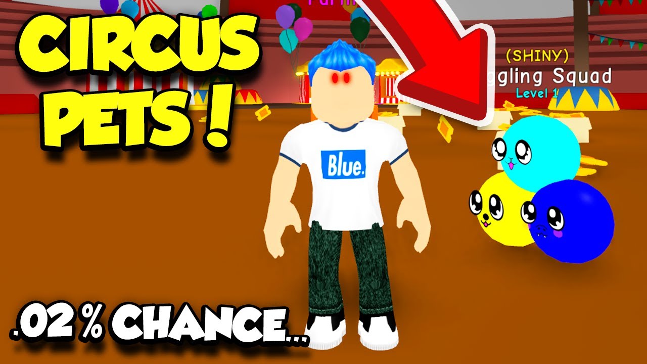 New Secret Pet And Event Pet In Bubble Gum Simulator By Chungus - how to blow bubbles afk in roblox bubble gum simulator youtube