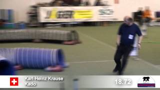 WCA - 1/2011 - Karl-Heinz Krause & Kado - Jumping-Open