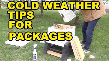 Beekeeping | Cold Weather Tips For Installing A Package Of Bees