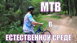 картинка: Street MTB врывается на ДЁРТЫ / Ns bikes / Dartmoor