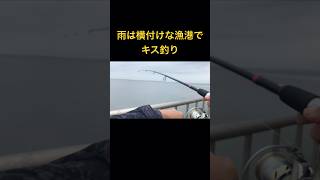 雨は横付けな漁港でキス釣り ちょい投げ 知多#キス釣り#知多半島#ちょい投げ