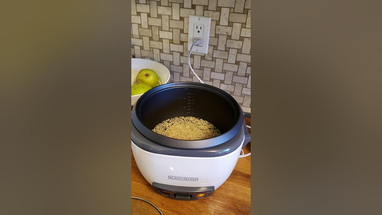 Unboxing the Black & Decker 6 Cup Rice Cooker and Steamer 