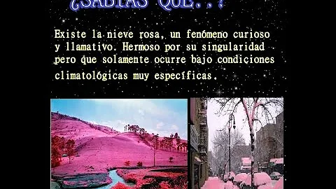 ¿Existe la nieve rosa?