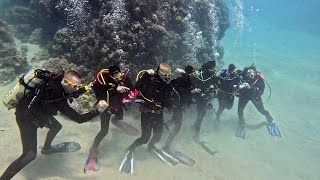 Become a PADI Pro impression