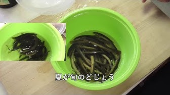 どじょう鍋 Youtube