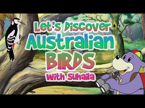 zaky-discovers-australian-birds---great-for-kids