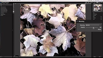 Perfect B&W - Using the Blending Pane