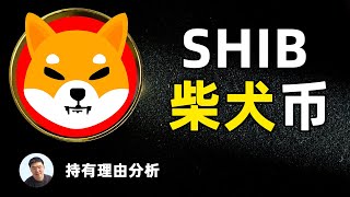 关于shiba lnu（shib）柴犬币屎币的一些想法｜ shib柴犬币为什么暴涨 ｜为什么大家认同