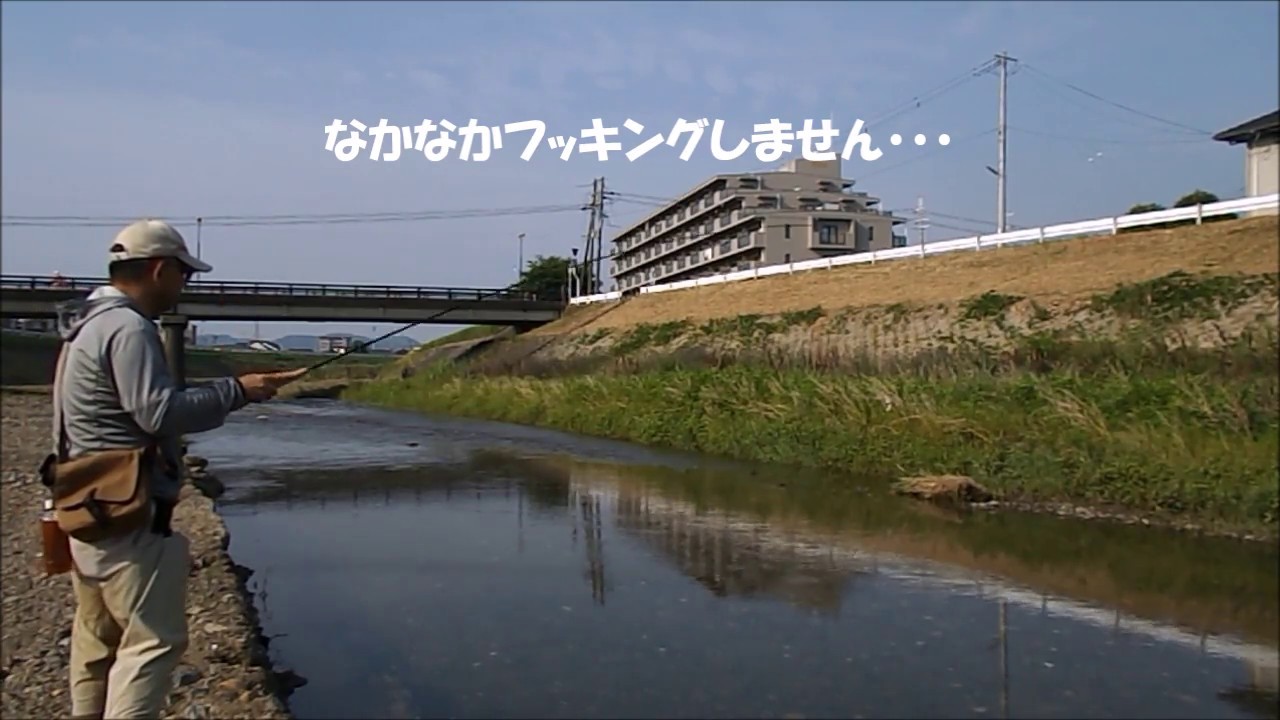 テンカラでオイカワを釣る 17梅雨 Tenkara For Pale Chub Youtube