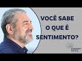 Você Sabe O Que É Sentimento? #fernandofreitascs #conscienciasistemica #constelacaofamiliar