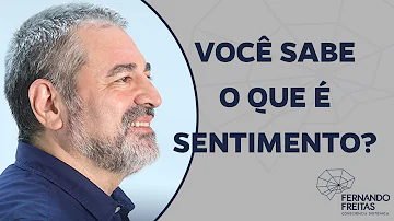 Quais as palavras de sentimento?