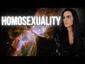 The Higher Dimensional Role of Homosexuality