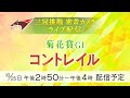 【菊花賞LIVE配信】三冠挑戦コントレイル密着カメラ《CONTRAIL》