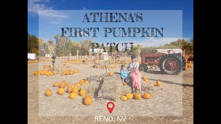 Athena first pumpkin patch visit at Ferrari Farms, Reno NV