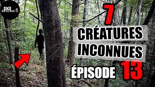 7 Créatures Inconnues Qui Boulversent Nos Connaissances - Épisode 13