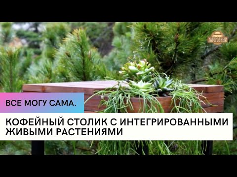 Кофейный столик с интегрированными живыми растениями  Все могу сама