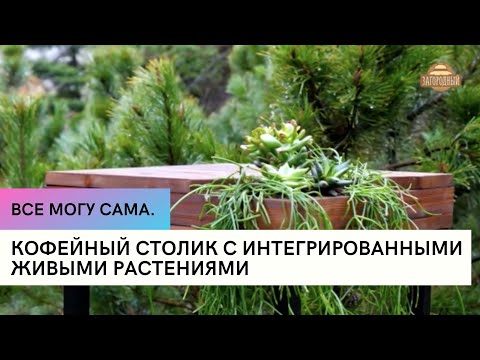 Кофейный столик с интегрированными живыми растениями \ Все могу сама