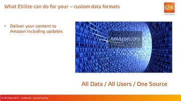2019 GfK Etilize SpexAccess Overview