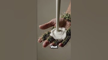 How to Remove Cactus Spines!