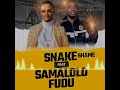 Fudu  feat samalolo snake shame baby 