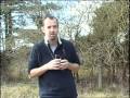 Mark Grantham Talks To The BTO About Lesser Whitethroat Migration Mark Grantham Talks To The BTO About Lesser Whitethroat Migration