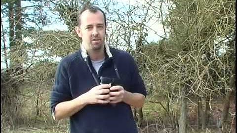 Mark Grantham talks to the BTO about Lesser Whitethroat migration
