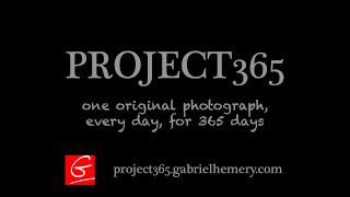 PROJECT365 | Month 3