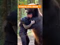 🤯 Man vs. 300kg Black Bear!!! 🐻