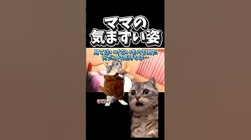 【猫ミーム】ママから「気まずい」を学ぶ息子！ww #shorts #実話 #猫マニ #猫ミーム #あるある
