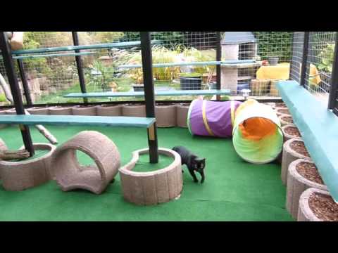 freigehege-für-katzen