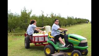South Plains Food Bank Slide Show