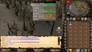 ProjectRS06 | Team Articulo Mortis VS Evolution