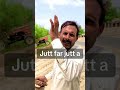 #reels jutt far jutt a👍👍Pakistan panjabi village vloger video viral