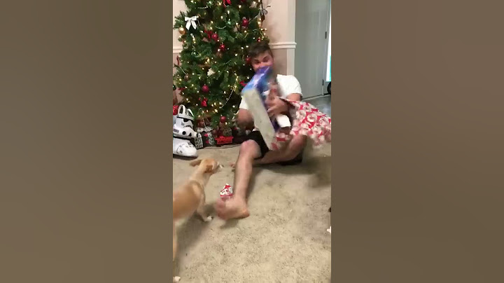 Cat attacks over Christmas gift.