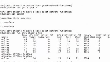 Junos Node Slicing: Guest Network Function