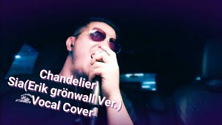 [Sia] Chandelier (erik grönwall Ver. Cover)