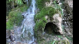 Өте қорқынышты жалаңаш әйелдер суреттері