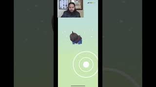I hatched Eleven 10km eggs in a row! #pokémongo