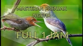 MASTERAN PRENJAK NGETIR FULL 1 JAM