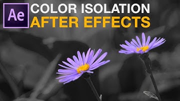 Leave Color or Color Isolation in adobe after effects tutorial